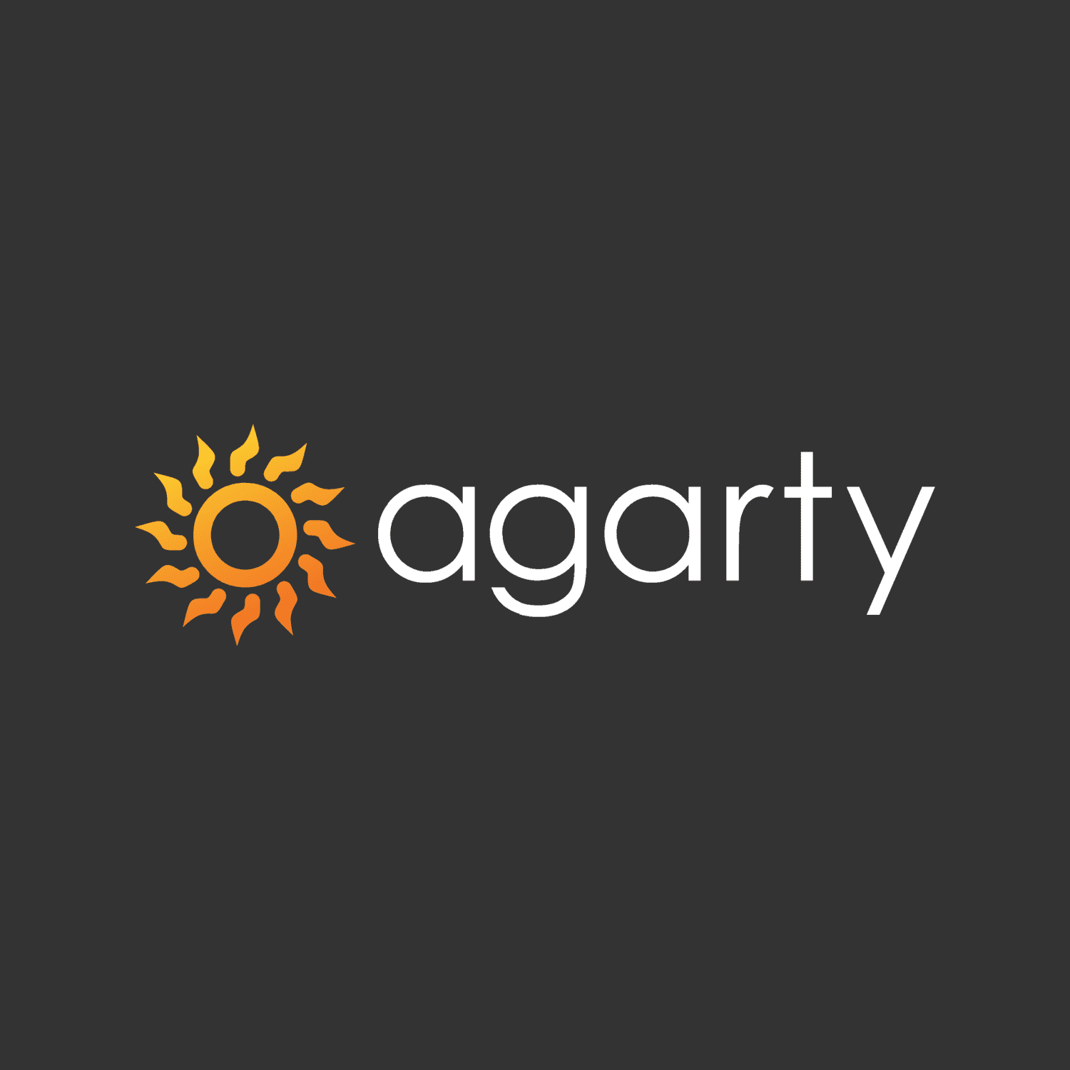 Разработка сайта для Agarty