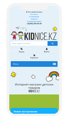 Kidnice.kz, веб-разработка