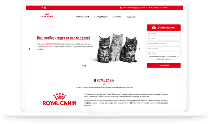 Royal Canin, веб-разработка